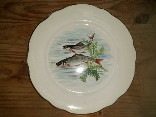 Assiettes plates - 6,